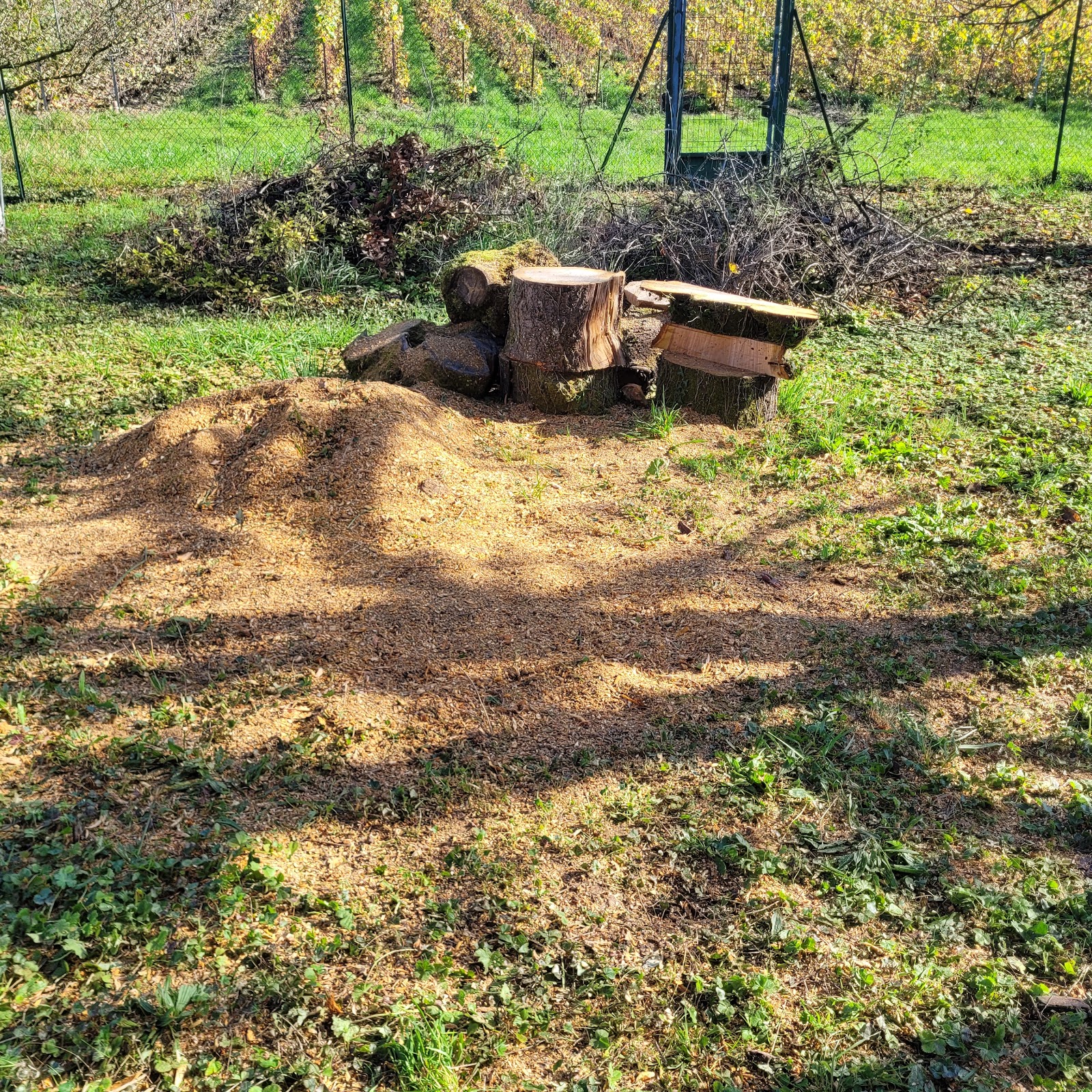 Débit et rangement du bois après abattage